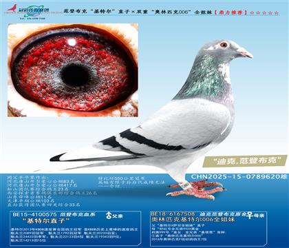 ǲˡؠֱӡpءWƥ006ȫ