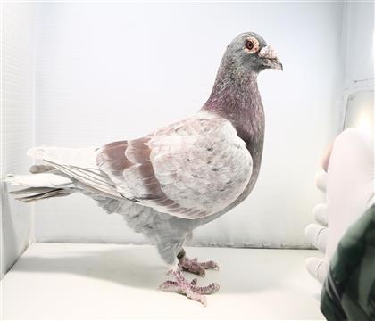 <�tɫ�컨��>�t��܊����