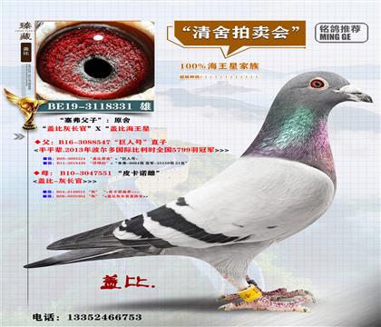 <���_.�mŬԭ��>�w�Ⱥ�����