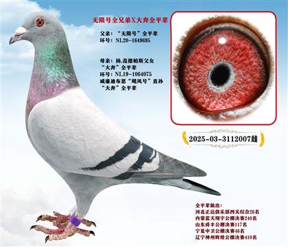 楊.范德帕斯“無限號”全兄弟X“大奔”全兄弟