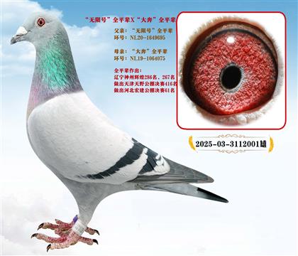 楊.范德帕斯“無限號”全兄弟X大奔全平輩