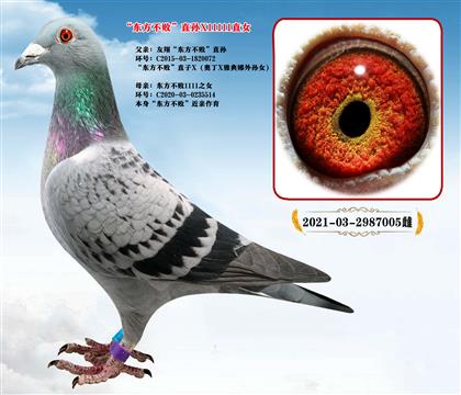 友翔東方不敗直孫X東方不敗11111直女