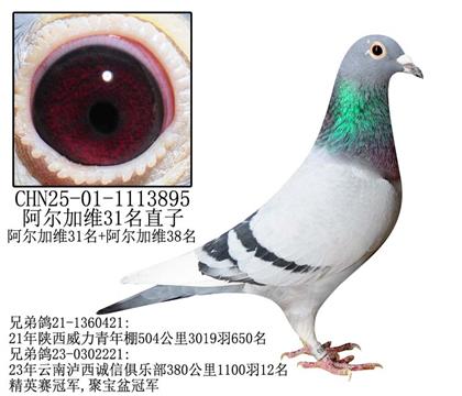 阿爾加維31名直子-13