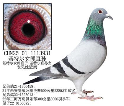 基特爾女郎直孫-14