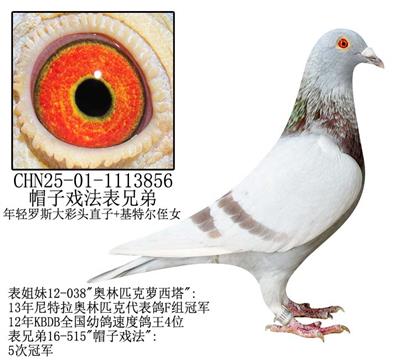 海倫帽子戲法表兄弟-20