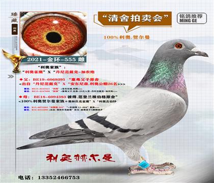 <���W�R����>��h(hu��n)-555