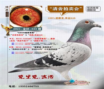 <KBDB����>��h(hu��n)-333