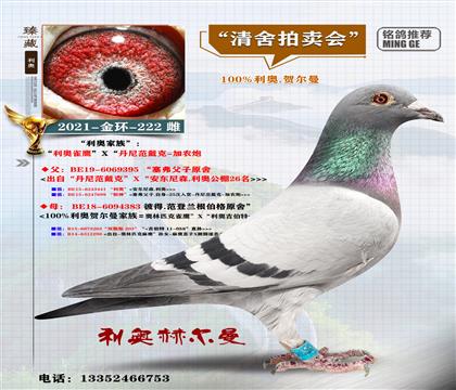 <���W�R����>��h(hu��n)-222