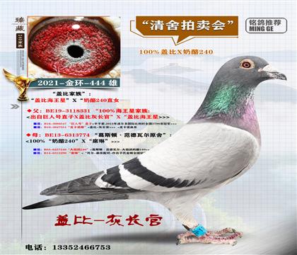 <240ֱŮX�w��>��h(hu��n)-444