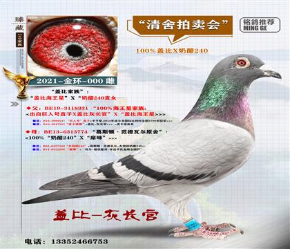 <240ֱŮX�w��>��h(hu��n)-000