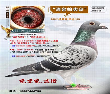 <KBDB����>�ٰ������\(y��n)848