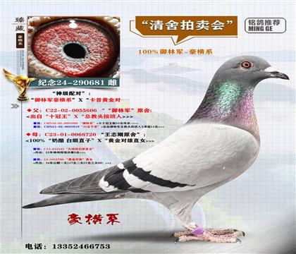 <���Mϵ>����܊X�����S����(du��)