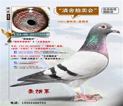 <���Mϵ>����܊X�����S����(du��)