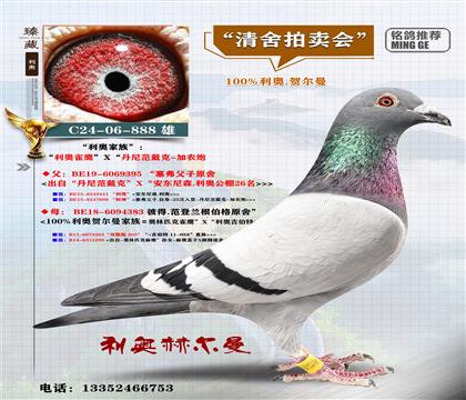 <���W�R����>���Wȸ��X���m����