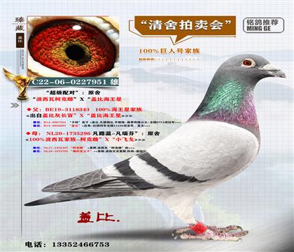 <����(j��)�䌦(du��)>������X�w�Ⱥ�����