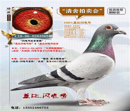 <�w���W�̖(h��o)>��������10λ