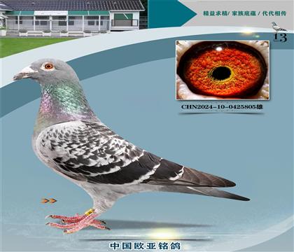 ղɭԭᡰ̖(ho)131X¹139