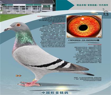 wԭW̖(ho)ֱ303X?sh)ֱ?84