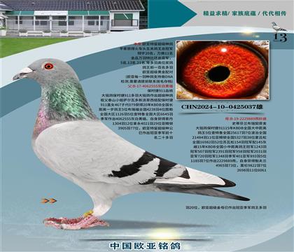 r(sh)911Ѫy(tng)555Xr(sh)889