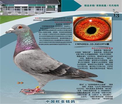 ղɭԭᡰﰲ543XƯt144