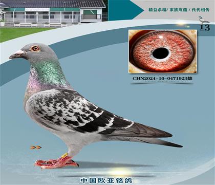 ղɭ251ֱ326X766ֱŮ848