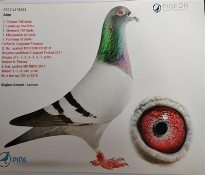 .mŬ5ι܊ȫ܊Xȫ5λ