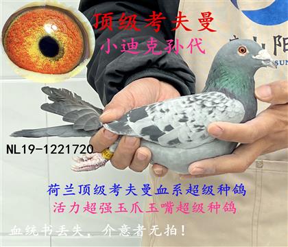 頂級(jí)考夫曼