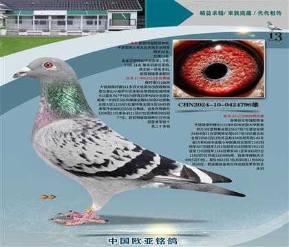 r911Ѫy(tng)555Xr889