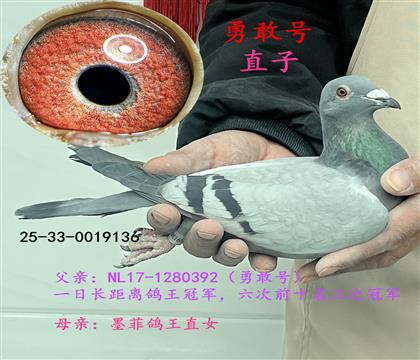 勇敢號(hào)直子