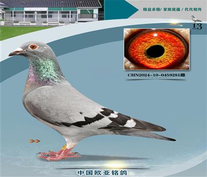 wԭ?sh)ֱ?30XWֱ̖Ů398