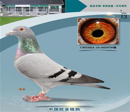 wԭWֱ̖323X?sh)ֱ?84