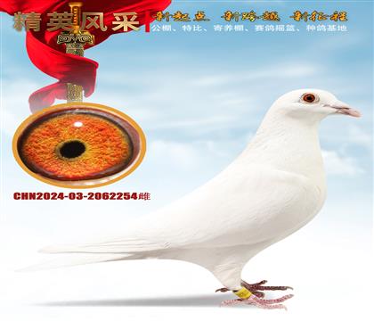 (sh)(zhn)ĸɿ(j)