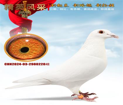 (sh)(zhn)ĸɿ(j)