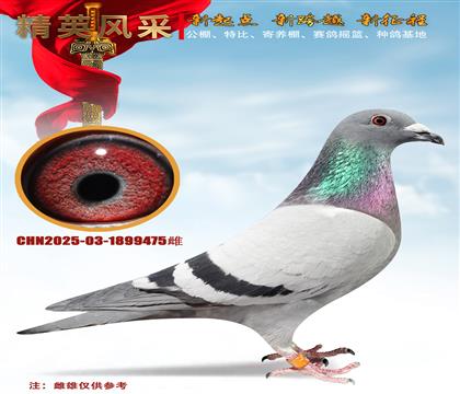 S(du)ƽ݅@(jing)f