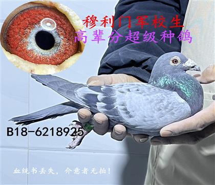 穆利門(mén)軍校生