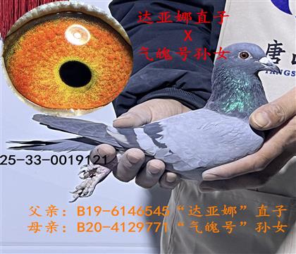 氣魄號(hào)X達(dá)亞娜