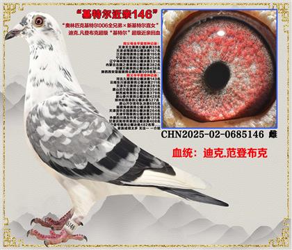 (صƼǲˡض006ȫֵܡ»ضֱŮ