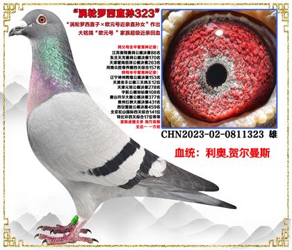 صƼ¡ֱӡŷԪŽֱŮѪ