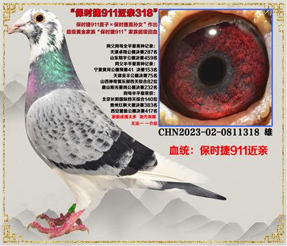 (صƼʱ911ֱXʱ911ֱŮ