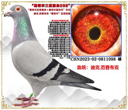 صƼϿ.ǲˡضֱضֱŮ