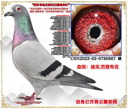 Ͽ.ǲˡұȶֱúȫֵ992ֱŮ