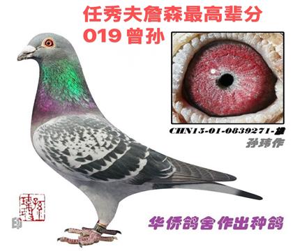 1--ղɭ0190839271-һһ