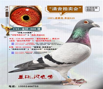 <��ţ�M��>�W�����10X���\(y��n)848-��h(hu��n)-666