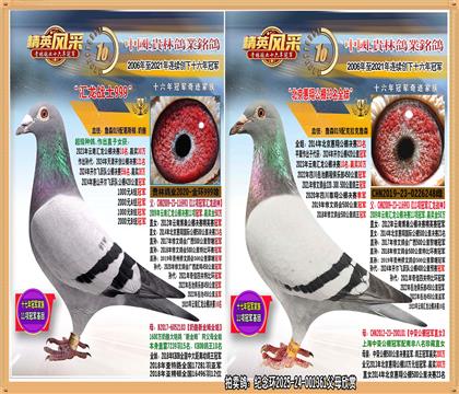 ���υR������10�����H��.ƽ݅�����_�������܊.235��