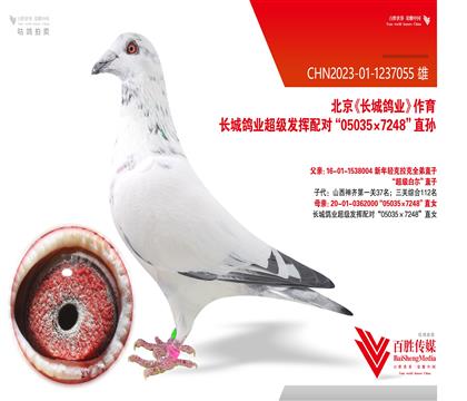 Ǹҵ050357248-1237055