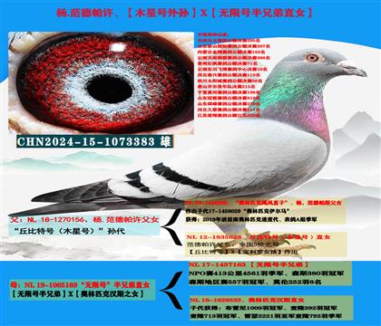 (重点推荐)杨范德帕许“丘比特号外孙”X“无限号半兄弟直女”