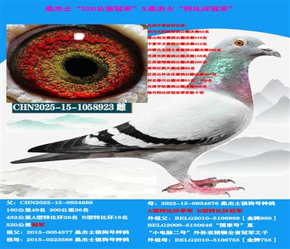 (山区地形 吃苦耐劳)桑杰士双冠军作出