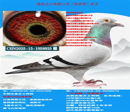 (山区地形 吃苦耐劳) 桑杰士双亚军作出 公棚首选