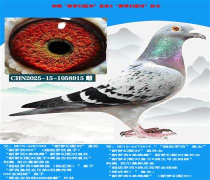 利奥 “新梦幻配对”“直孙X新梦幻配对孙女”