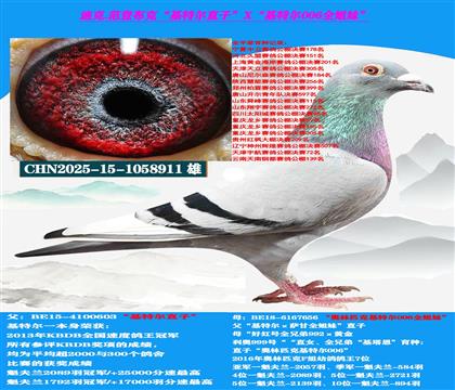 迪克 范登布克“基特尔”直子X“基特尔006”全姐妹